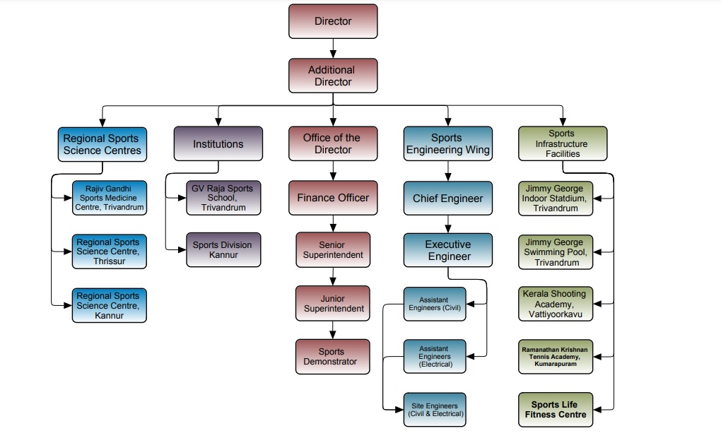 Sports Organization Organizational Chart